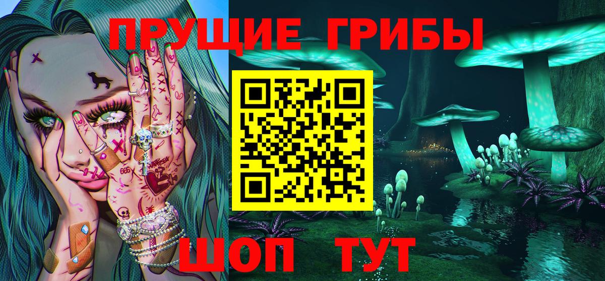 Галлюциногенные грибы Cubensis Алейск