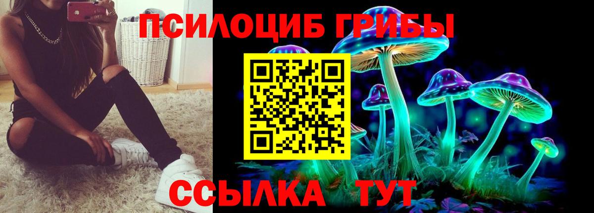 Псилоцибиновые грибы Psilocybine cubensis  Вход с VPN  Алейск 